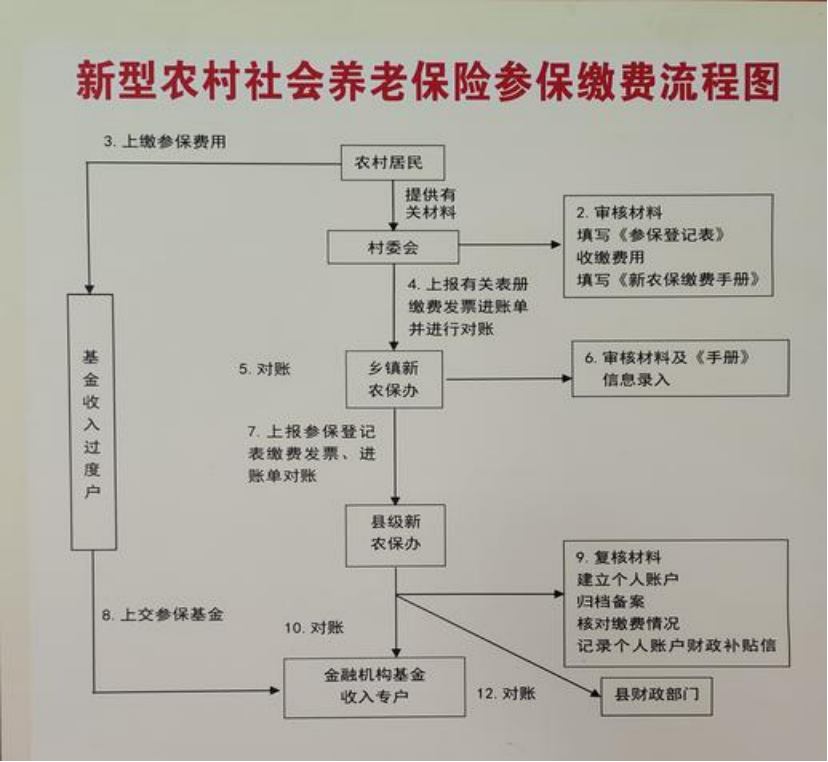 商丘农村医保和社保有什么区别(农村医保跟社保的区别)