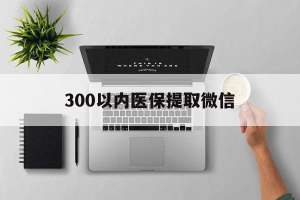 商丘300以内医保提取微信(医保提取24小时中介)